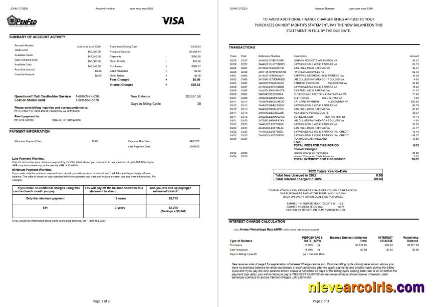 USA Pentagon Federal Credit Union (PenFed) bank statement 3 pages
